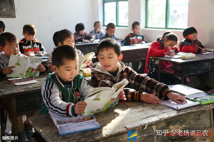 喜訊!2023年,農村5大惠民政策陸續實施,4大補貼...(圖4)