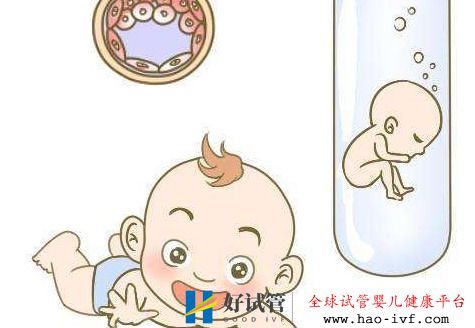 試管嬰兒成功進行需要多少個卵泡才能達標？(圖2)