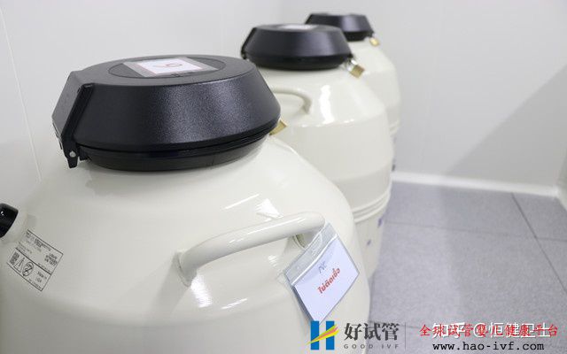 做第三代試管嬰兒費用是怎樣的(圖3)
