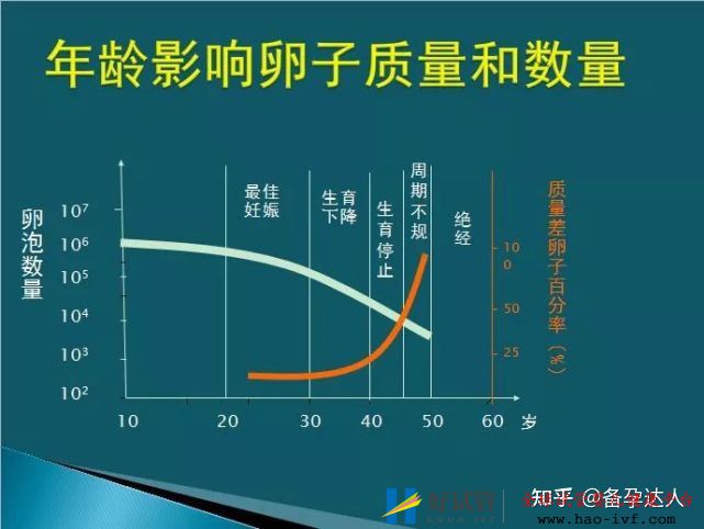 做試管最容易一次成功的四類人(圖2)