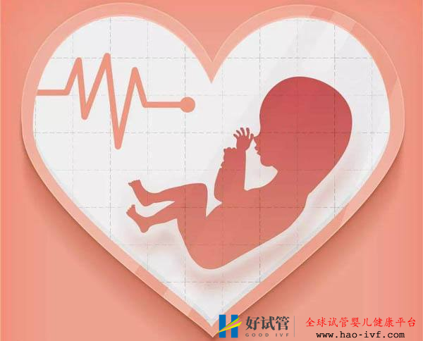 試管嬰兒取卵后子宮內膜達到多少才可以移植？(圖1)