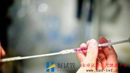 試管嬰兒和普通嬰兒，哪個更聰明呢？(圖1)