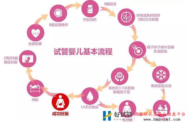 俄羅斯試管嬰兒的詳細過程是怎樣的，6個步驟解釋清楚(圖1)
