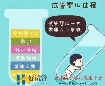 試管嬰兒的過(guò)程步驟(圖2)