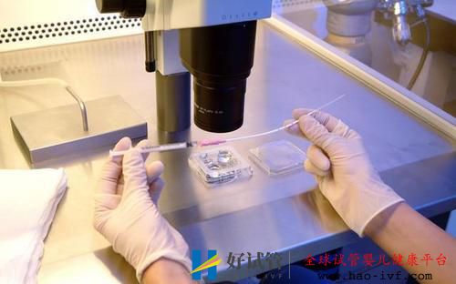 做試管嬰兒復雜嗎？過程是怎樣的？(圖2)