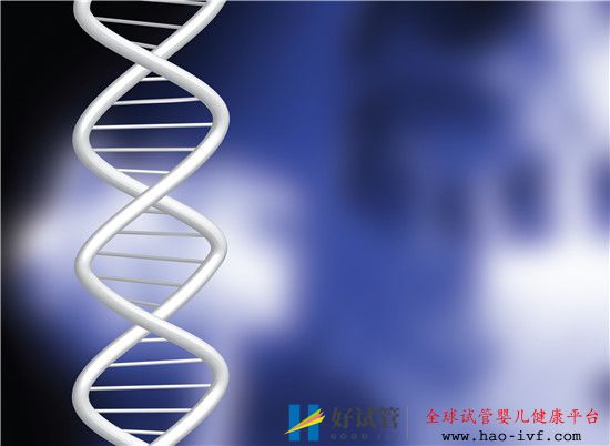 不孕不育做試管嬰兒的條件和過程(圖2)