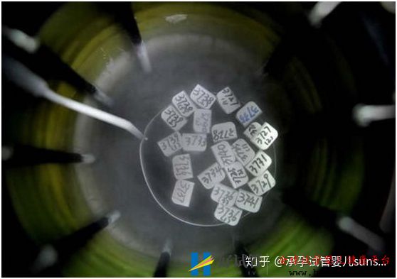 用7張圖還原試管嬰兒的全過程(圖13)