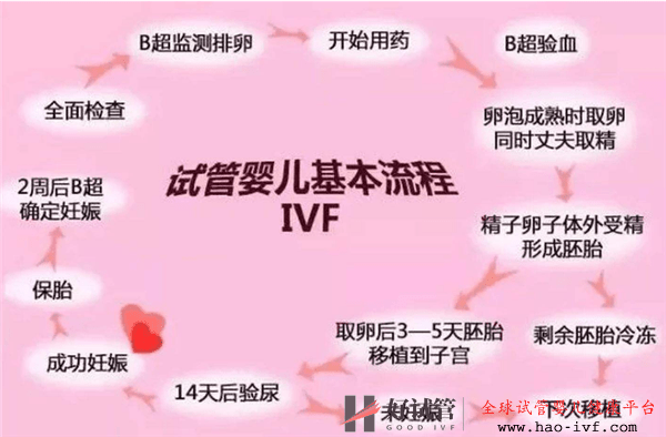 試管嬰兒基礎知識和注意事項(圖2)