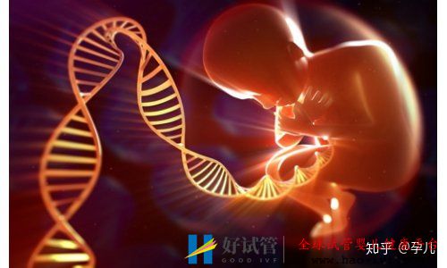 第二期試管嬰兒的費用是多少做試管嬰兒前你需...(圖3)