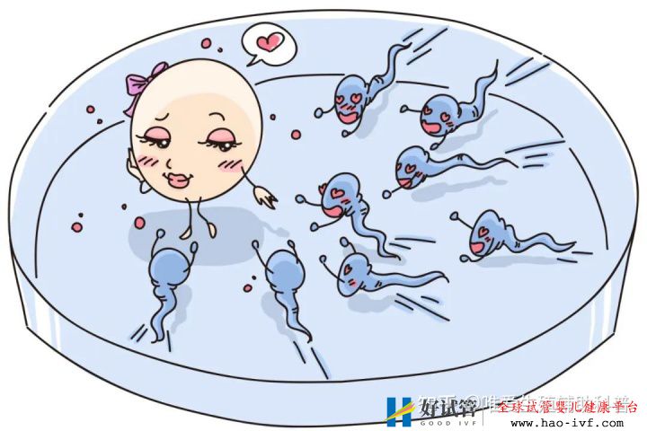 公立醫院試管嬰兒多少錢一次一代二代三代費用明細(圖1)