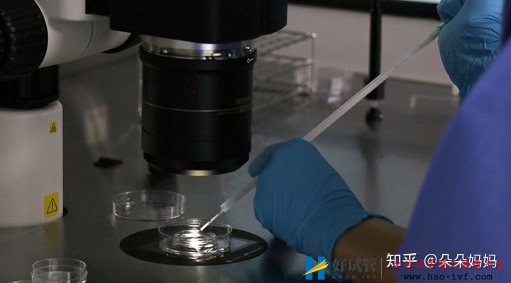 做試管大約要多少錢一次就能圓夢(圖1) 做試管大約要多少錢一次就能圓夢(圖1)