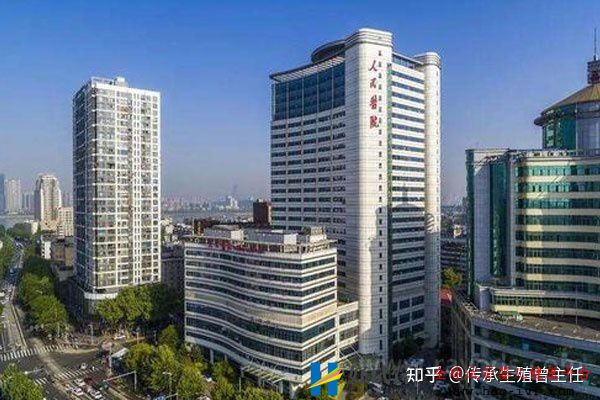 全國試管嬰兒成功率高的醫院有哪些(全國試管嬰兒...(圖5)