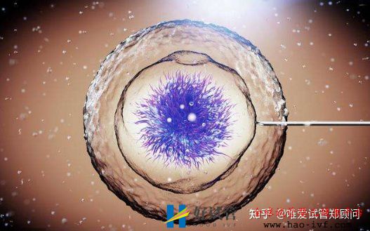 國內哪些醫院可以做試管嬰兒哪家醫院技術更好(圖1)