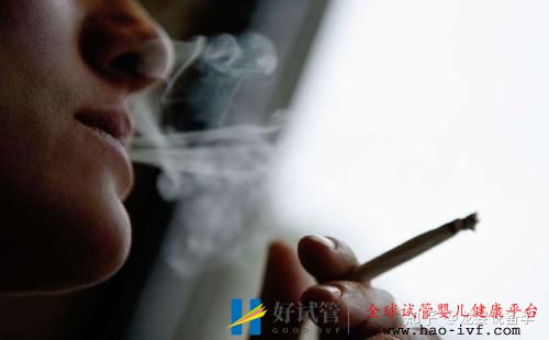 試管嬰兒的成功率到底有多高說出來你可能不信(圖3)