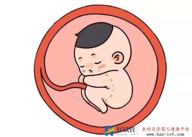 37歲還能做試管嬰兒,能成功懷上寶寶嗎?(圖1) 37歲還能做試管嬰兒,能成功懷上寶寶嗎?(圖1)