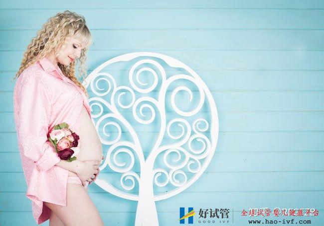 試管嬰兒的利與弊(圖2)