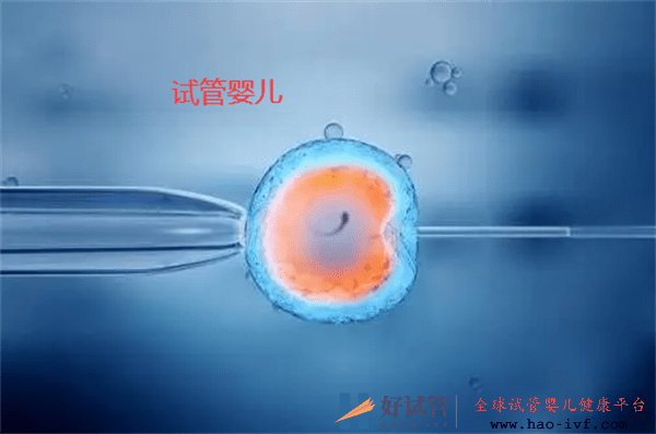 做試管嬰兒前需要備孕嗎(圖1)