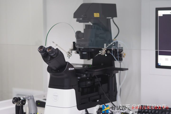 試管嬰兒收費價目表是什么樣的(圖3)