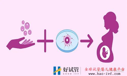 試管嬰兒需要花多少時間試管全流程大公開建議收藏!(圖2) 試管嬰兒需要花多少時間試管全流程大公開建議收藏!(圖2)