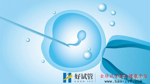 做一回試管嬰兒大約需要多長時間(圖1)
