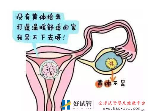 女性黃體功能不全可以選擇試管嬰兒嗎(圖1)