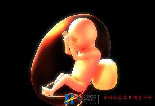 女性雌二醇低可以做試管嬰兒嗎有什么影響(圖1)