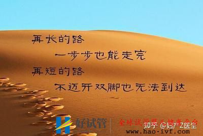 全國試管前百名醫院除了北上廣,這些地區的試管...(圖17) 全國試管前百名醫院除了北上廣,這些地區的試管...(圖17)