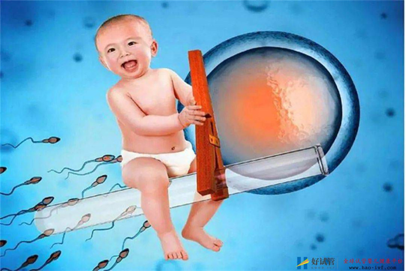 試管嬰兒和普通嬰兒有啥差別？沒你想得那么復雜，了解一下漲知識(圖1)
