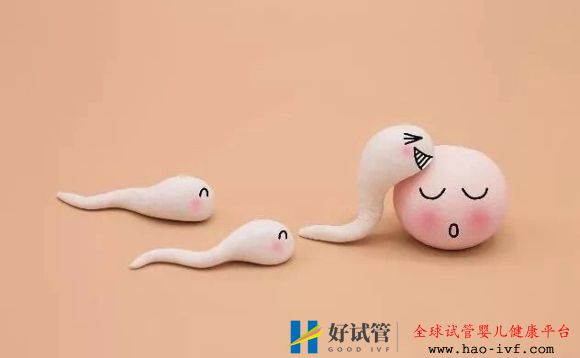 哪種體質(zhì)的人做試管嬰兒容易生雙胞胎(圖1)
