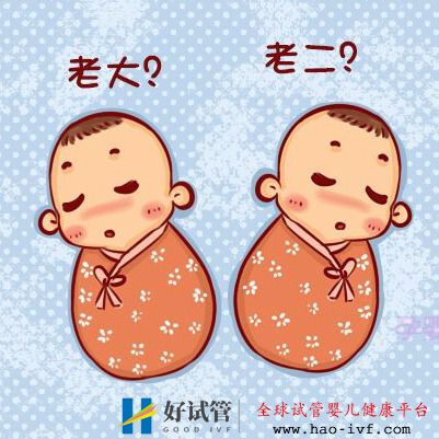 俄羅斯試管嬰兒雙胞胎寶寶為什么長得不一樣(圖1)