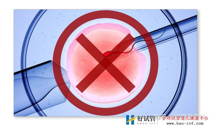 試管嬰兒需要什么條件才可以做——系列文1最全面...(圖9)