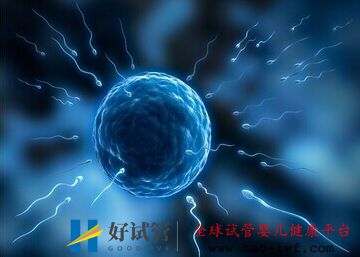 做泰國試管嬰兒的條件以及需要準(zhǔn)備什么(圖2)
