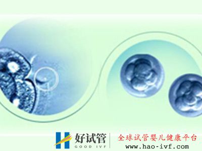 有乙肝的人可以做試管嬰兒嗎注意哪些(圖2)