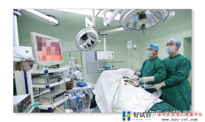 試管嬰兒需要什么條件才可以做——系列文2(圖4)