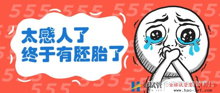 試管胚胎不是你想移植就能移,需要滿足這些條件!(圖2)