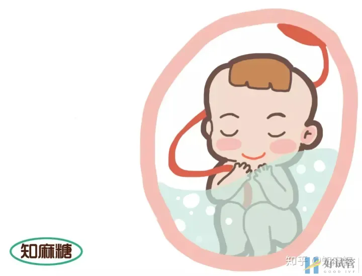 試管嬰兒是爸媽親生的嗎?（什么是“試管嬰兒”？）越早知道越好(圖2)