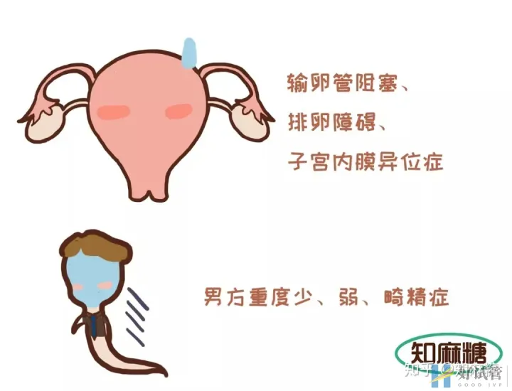 試管嬰兒是爸媽親生的嗎?（什么是“試管嬰兒”？）越早知道越好(圖3)