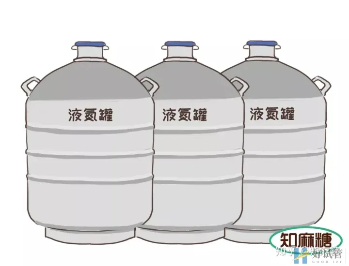 試管嬰兒是爸媽親生的嗎?（什么是“試管嬰兒”？）越早知道越好(圖11)