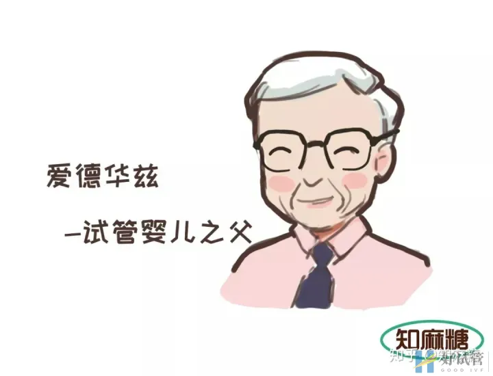 試管嬰兒是爸媽親生的嗎?（什么是“試管嬰兒”？）越早知道越好(圖4)