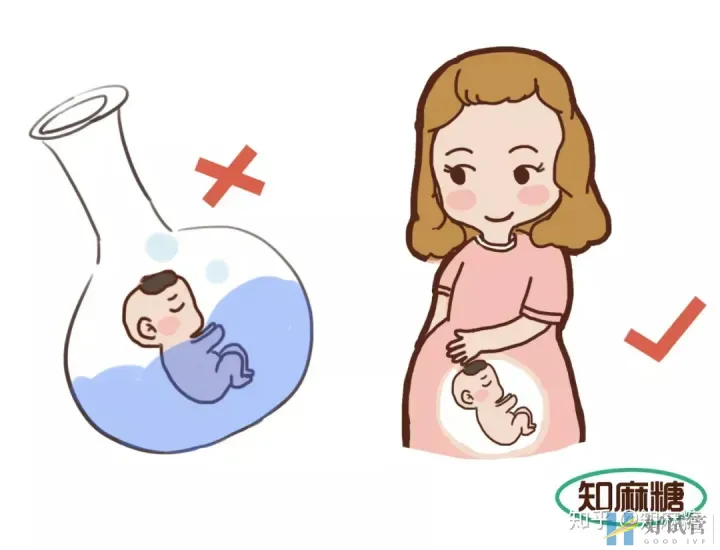 試管嬰兒是爸媽親生的嗎?（什么是“試管嬰兒”？）越早知道越好(圖6)