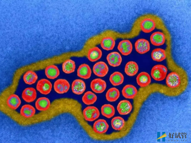 子宮內膜癌是惡性腫瘤