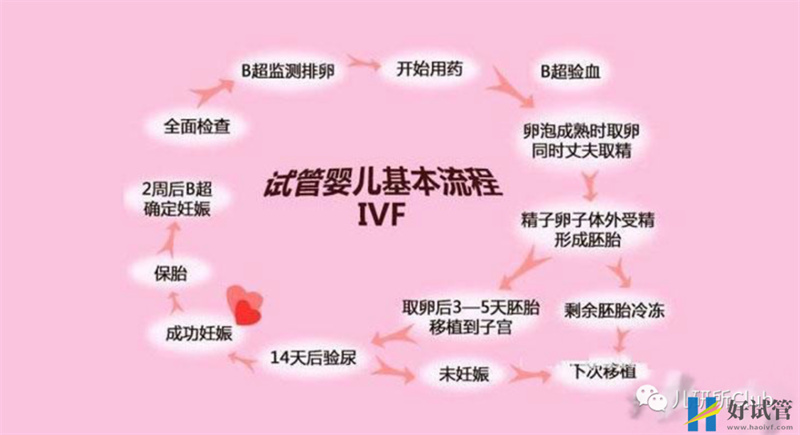 【重磅】試管嬰兒將納入北京醫保,惠及超4000萬不育家庭(圖4)