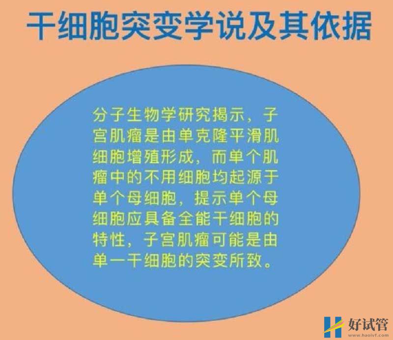子宮肌瘤致病因素的分析