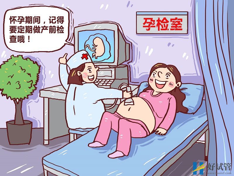 nt檢查需要看時間