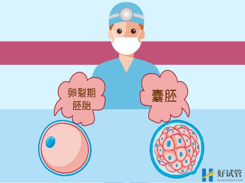 抗繆勒氏管激素偏低的影響
