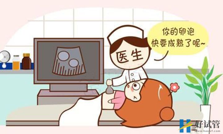 b超可監測卵泡是否成熟