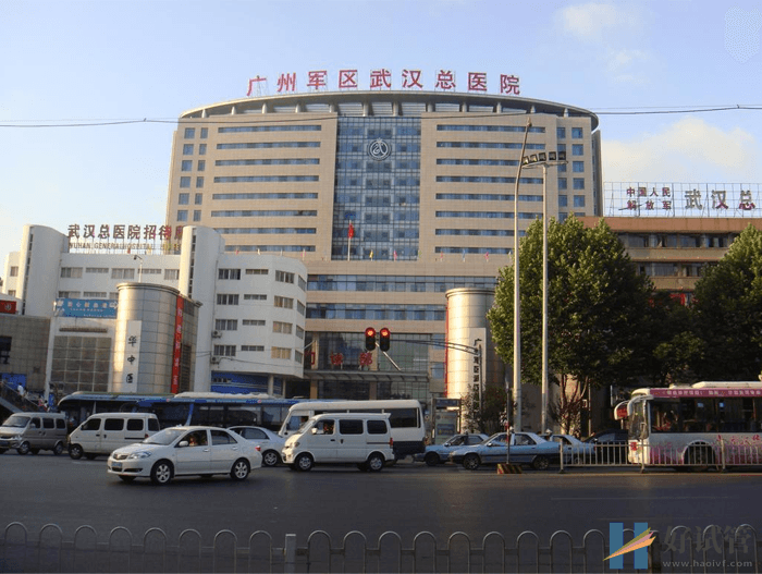 中國人民解放軍中部戰區總醫院