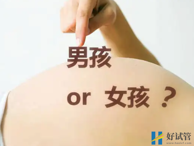 試管生男孩女孩的比例