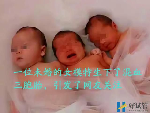 山東一未婚女子從事模特,做試管產(chǎn)下三個混血寶寶,稱從不后悔(圖1)