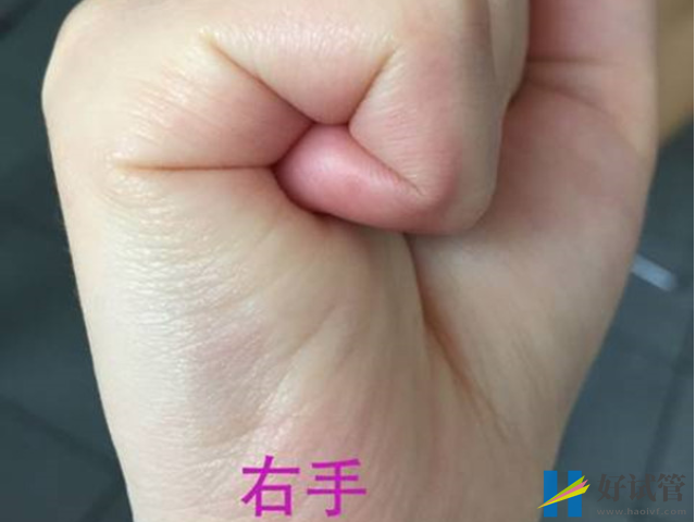 右手握拳看男女不準